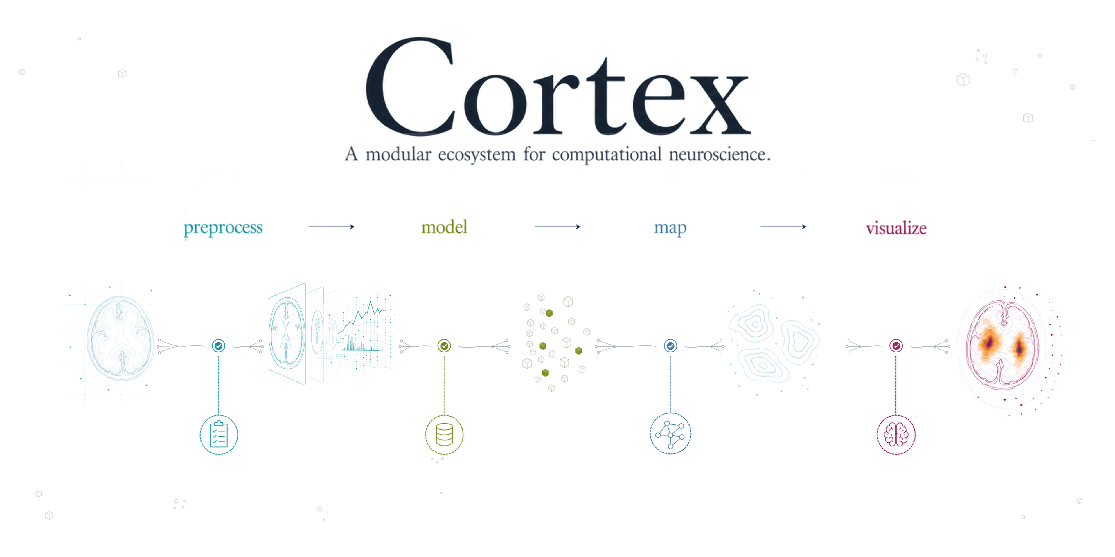 Cortex artwork showing a neuroscience workflow from preprocessing through modeling, mapping, and visualization.