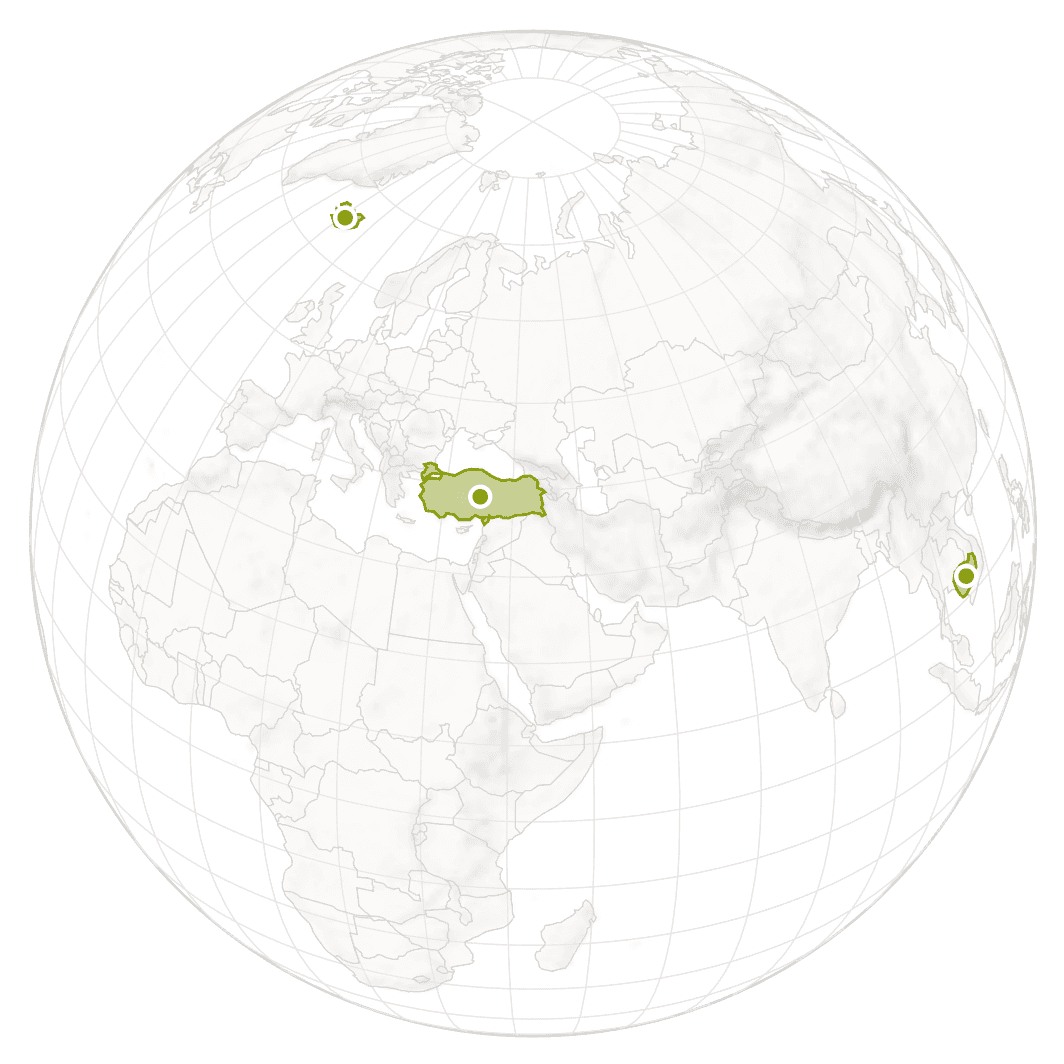 A still of the Venture atlas globe, with visited countries highlighted in green.