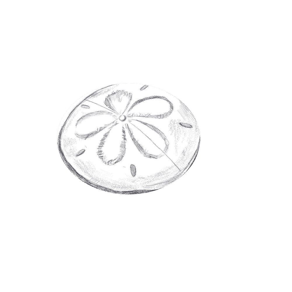 The sand dollar logo.
