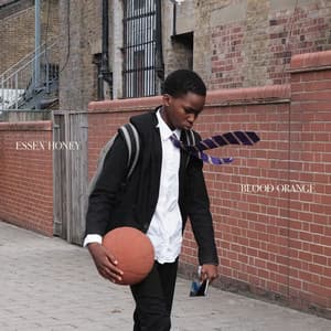 Essex Honey album cover